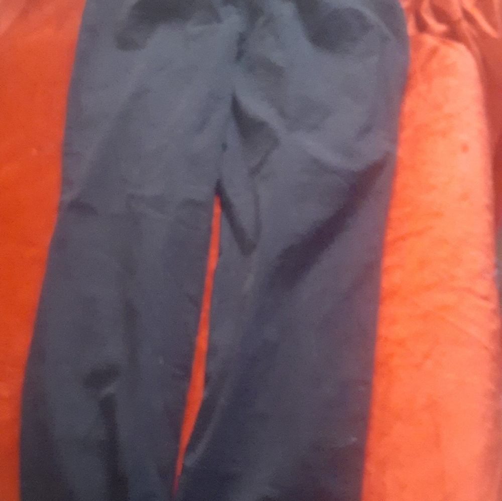 Gloria Vanderbuild slacks